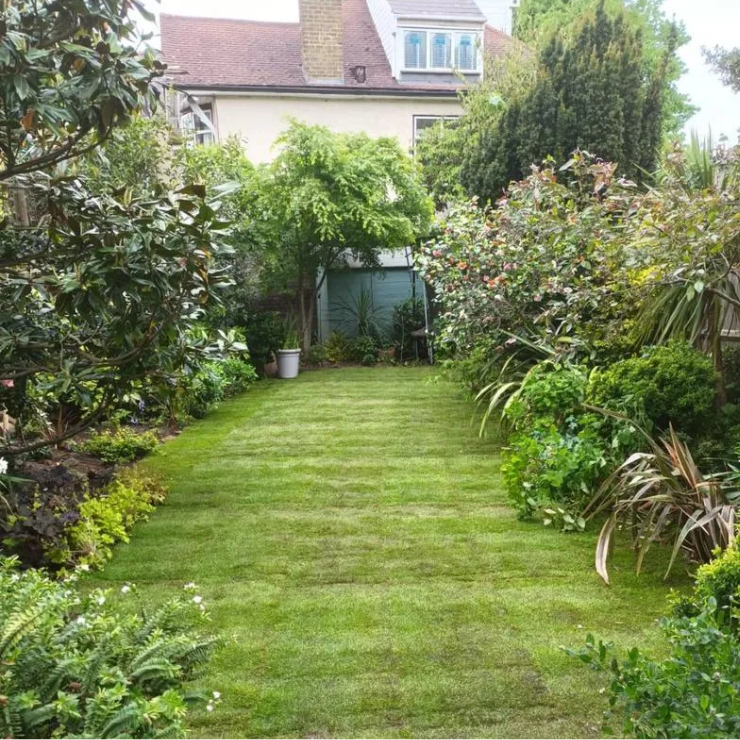Garden Maintenance Services in Streatham