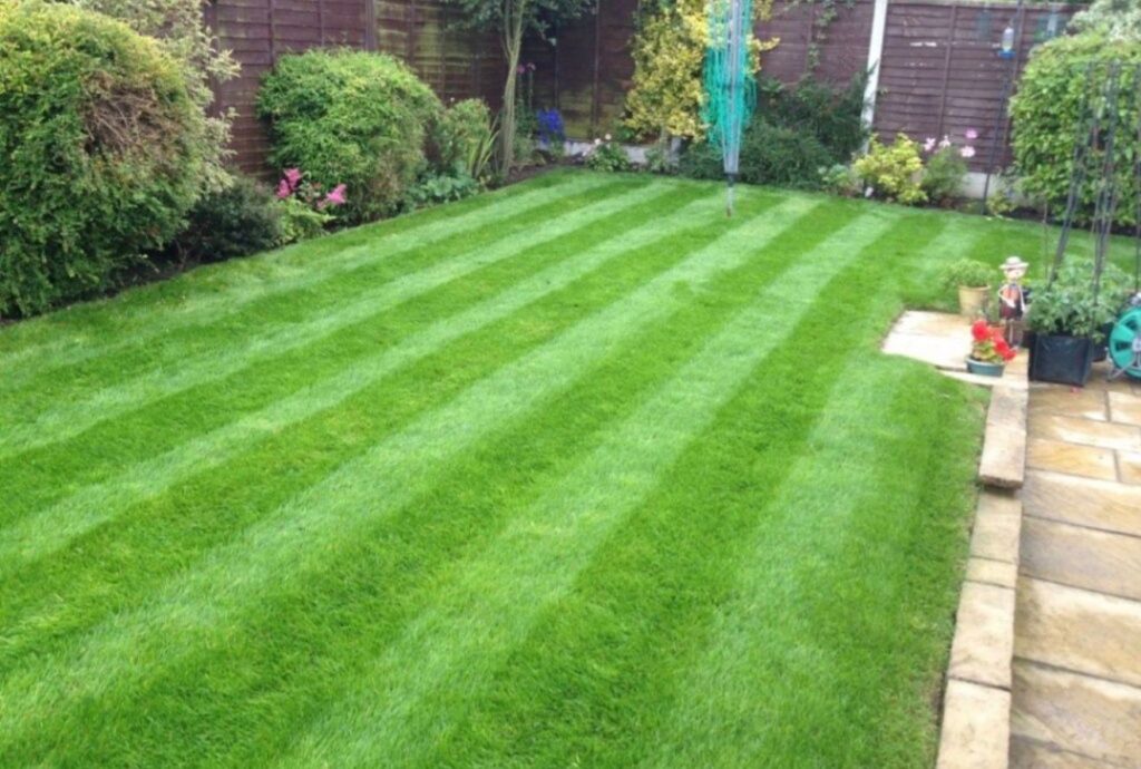 Landscape Design