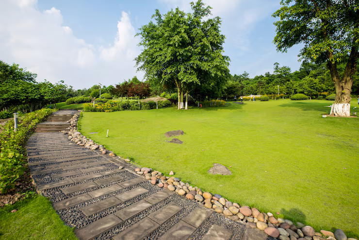 Hard Landscaping: Build Strong and Beautiful Outdoor Foundations